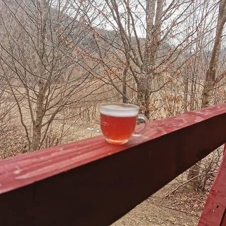 Lodge Lucia Tarcau