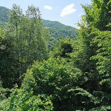 Lodge Lucia Tarcau